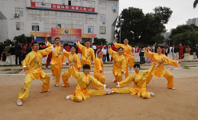 太极群英会 国粹展新姿（2012）