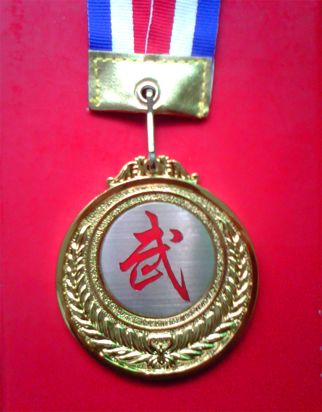 2010广东省武术锦标赛 