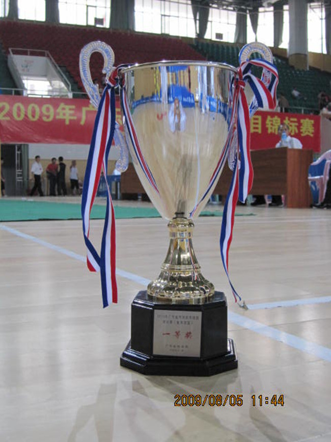 2009广东省武术锦标赛 