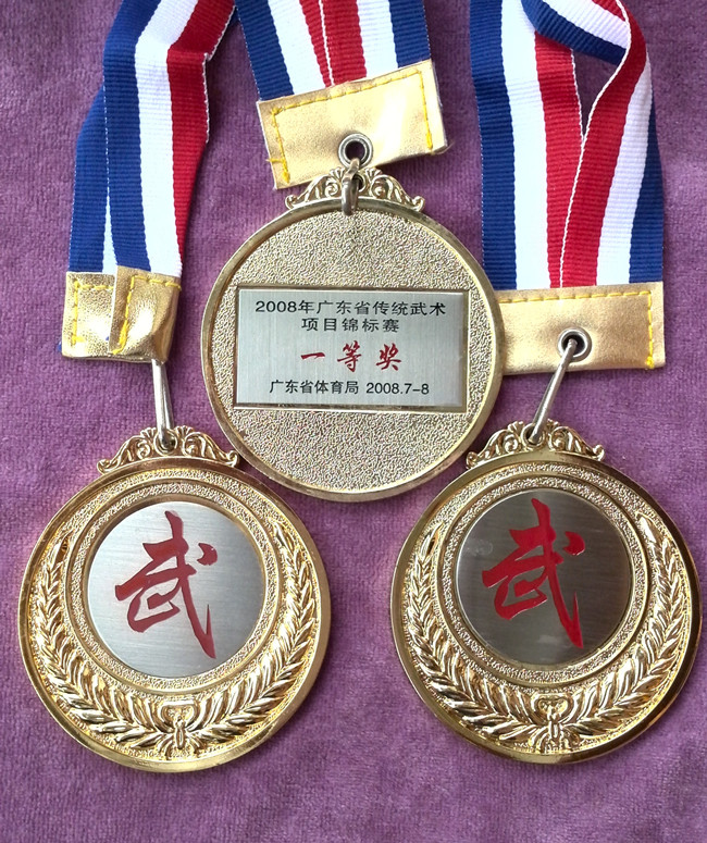 2008广东省武术锦标赛 