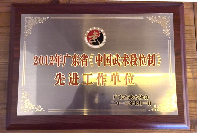 武术段位制先进单位 